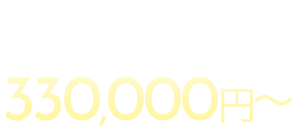 ライトプラン330,000円→165,000円